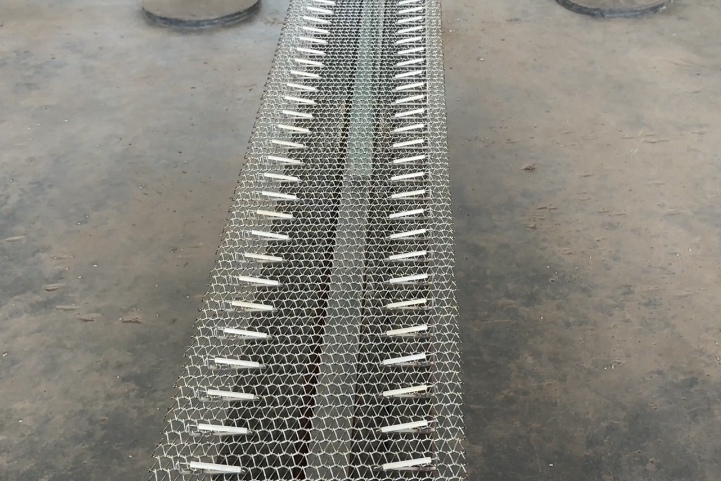 1703514973551511.jpg 1703514973551511.jpg